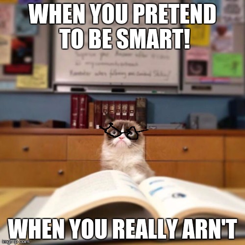 Grumpy Cat Reading | WHEN YOU PRETEND TO BE SMART! WHEN YOU REALLY ARN'T | image tagged in grumpy cat reading | made w/ Imgflip meme maker