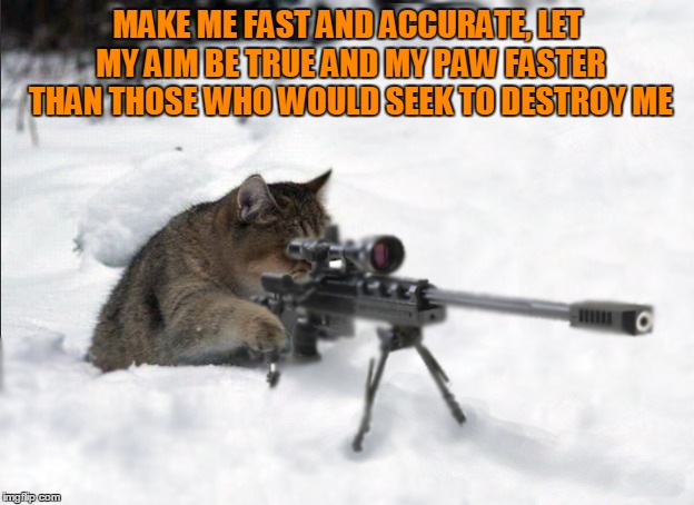 MAKE ME FAST AND ACCURATE, LET MY AIM BE TRUE AND MY PAW FASTER THAN THOSE WHO WOULD SEEK TO DESTROY ME | made w/ Imgflip meme maker