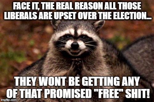 Evil Plotting Raccoon | FACE IT, THE REAL REASON ALL THOSE LIBERALS ARE UPSET OVER THE ELECTION... THEY WONT BE GETTING ANY OF THAT PROMISED "FREE" SHIT! | image tagged in memes,evil plotting raccoon | made w/ Imgflip meme maker