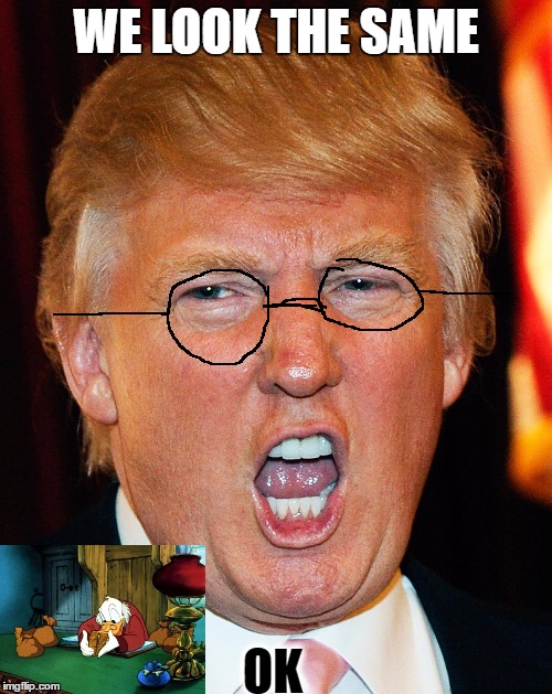 Donald Trump I Will Duck You Up | WE LOOK THE SAME; OK | image tagged in donald trump i will duck you up | made w/ Imgflip meme maker