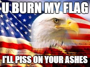 American Flag | U BURN MY FLAG; I'LL PISS ON YOUR ASHES | image tagged in american flag | made w/ Imgflip meme maker