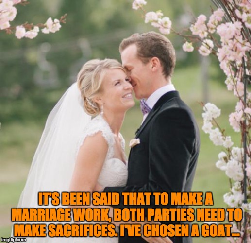 wedding | IT’S BEEN SAID THAT TO MAKE A MARRIAGE WORK, BOTH PARTIES NEED TO MAKE SACRIFICES. I'VE CHOSEN A GOAT... | image tagged in wedding | made w/ Imgflip meme maker