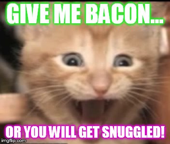 GIVE ME BACON... OR YOU WILL GET SNUGGLED! | image tagged in i want bacon | made w/ Imgflip meme maker