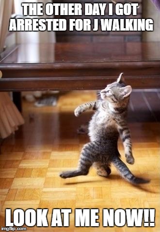 Cool Cat Stroll | THE OTHER DAY I GOT ARRESTED FOR J WALKING; LOOK AT ME NOW!! | image tagged in memes,cool cat stroll | made w/ Imgflip meme maker