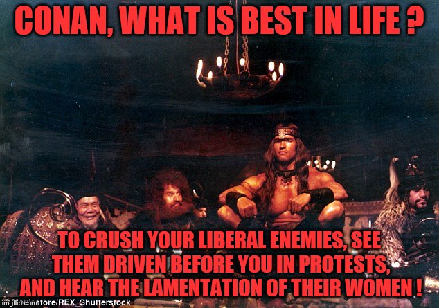 Trump the barbarian | CONAN, WHAT IS BEST IN LIFE ? TO CRUSH YOUR LIBERAL ENEMIES, SEE THEM DRIVEN BEFORE YOU IN PROTESTS, AND HEAR THE LAMENTATION OF THEIR WOMEN ! | image tagged in trump,donald trump,hillary clinton,election 2016 aftermath,election 2016 fatigue | made w/ Imgflip meme maker