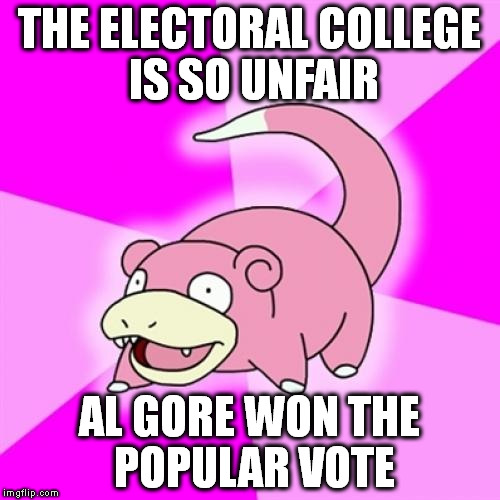 Slowpoke Meme | THE ELECTORAL COLLEGE IS SO UNFAIR; AL GORE WON THE POPULAR VOTE | image tagged in memes,slowpoke | made w/ Imgflip meme maker