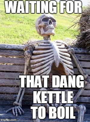Benjamin Franklin was correct! | WAITING FOR; THAT DANG KETTLE TO BOIL | image tagged in memes,waiting skeleton | made w/ Imgflip meme maker