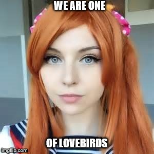love | WE ARE ONE; OF LOVEBIRDS | image tagged in love | made w/ Imgflip meme maker