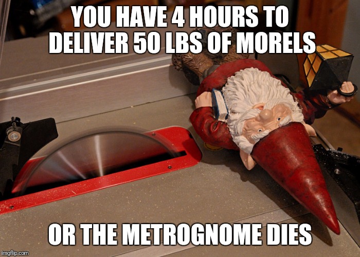 YOU HAVE 4 HOURS TO DELIVER 50 LBS OF MORELS OR THE METROGNOME DIES | made w/ Imgflip meme maker