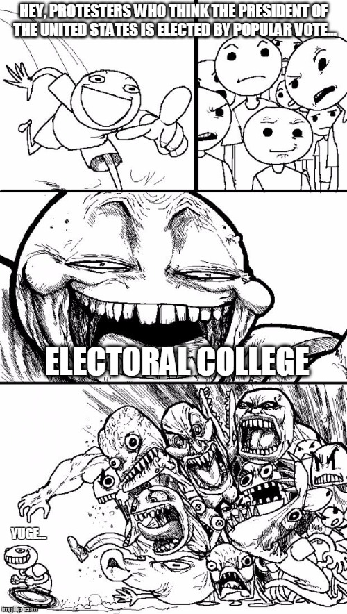 Yuge... | HEY, PROTESTERS WHO THINK THE PRESIDENT OF THE UNITED STATES IS ELECTED BY POPULAR VOTE... ELECTORAL COLLEGE; YUGE... | image tagged in memes,hey internet,2016 elections | made w/ Imgflip meme maker
