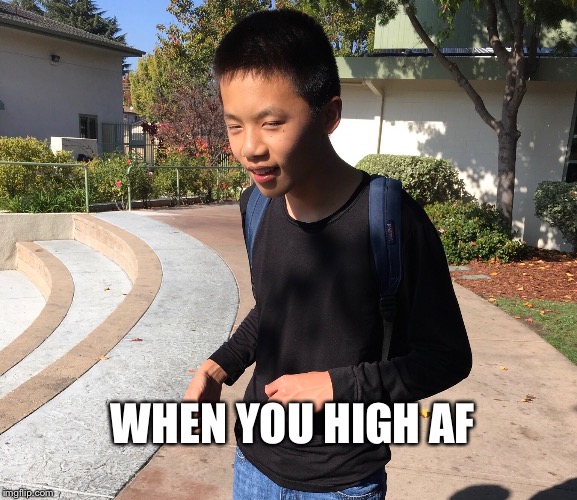 When you high af | WHEN YOU HIGH AF | image tagged in too damn high | made w/ Imgflip meme maker
