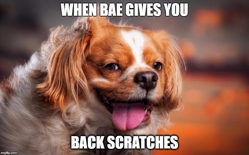 Daaamn Girl, Keep Going | WHEN BAE GIVES YOU; BACK SCRATCHES | image tagged in just ahhhh,too damn hot,feeling,blessed,good girlfriend | made w/ Imgflip meme maker