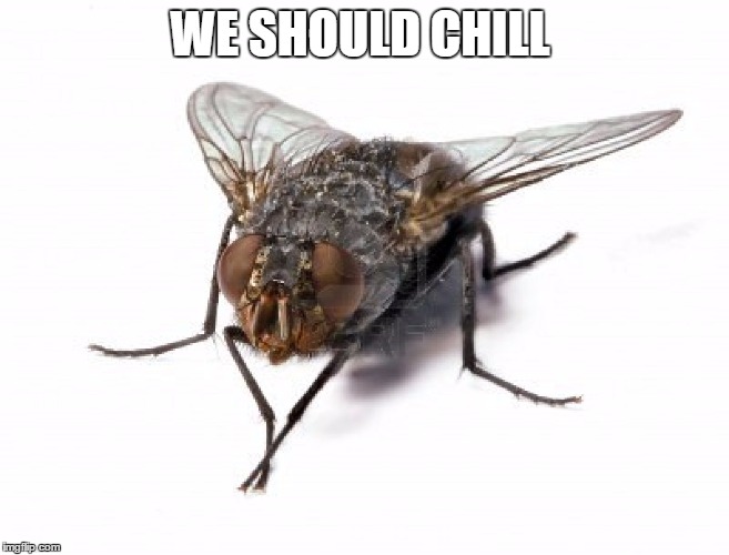 WE SHOULD CHILL | made w/ Imgflip meme maker