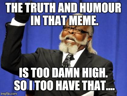 Musings on the GREAT Mysteries. | THE TRUTH AND HUMOUR IN THAT MEME. IS TOO DAMN HIGH. SO I TOO HAVE THAT.... | image tagged in memes,too damn high,so i got that goin for me which is nice,so hot right now alternative | made w/ Imgflip meme maker