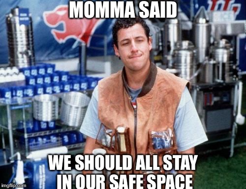 Momma Said | MOMMA SAID; WE SHOULD ALL STAY IN OUR SAFE SPACE | image tagged in momma said | made w/ Imgflip meme maker