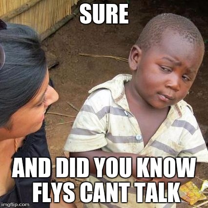 Third World Skeptical Kid Meme | SURE AND DID YOU KNOW FLYS CANT TALK | image tagged in memes,third world skeptical kid | made w/ Imgflip meme maker