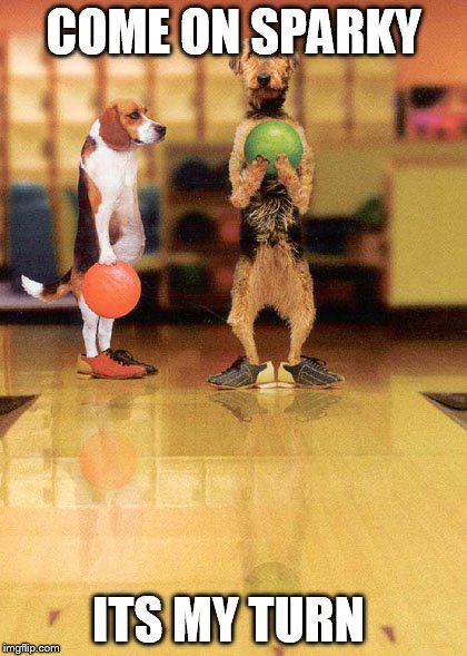 bowling | COME ON SPARKY; ITS MY TURN | image tagged in bowling | made w/ Imgflip meme maker