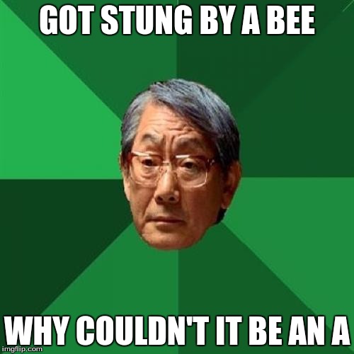 High Expectations Asian Father Meme | GOT STUNG BY A BEE; WHY COULDN'T IT BE AN A | image tagged in memes,high expectations asian father | made w/ Imgflip meme maker