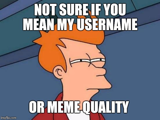 Futurama Fry Meme | NOT SURE IF YOU MEAN MY USERNAME OR MEME QUALITY | image tagged in memes,futurama fry | made w/ Imgflip meme maker