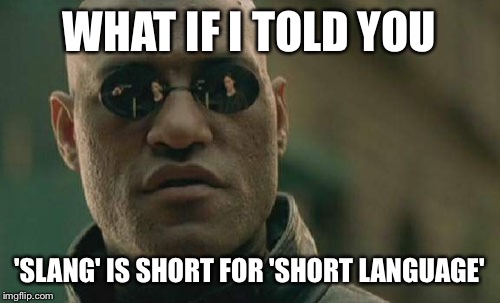 Matrix Morpheus Meme | WHAT IF I TOLD YOU; 'SLANG' IS SHORT FOR 'SHORT LANGUAGE' | image tagged in memes,matrix morpheus | made w/ Imgflip meme maker