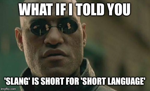 Matrix Morpheus | WHAT IF I TOLD YOU; 'SLANG' IS SHORT FOR 'SHORT LANGUAGE' | image tagged in memes,matrix morpheus | made w/ Imgflip meme maker