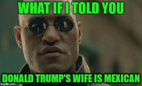 Matrix Morpheus | WHAT IF I TOLD YOU; DONALD TRUMP'S WIFE IS MEXICAN | image tagged in memes,matrix morpheus | made w/ Imgflip meme maker