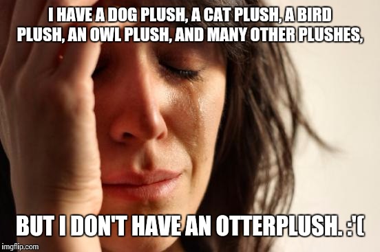 First World Problems | I HAVE A DOG PLUSH, A CAT PLUSH, A BIRD PLUSH, AN OWL PLUSH, AND MANY OTHER PLUSHES, BUT I DON'T HAVE AN OTTERPLUSH. :'( | image tagged in memes,first world problems,use the username weekend,use someones username in your meme,funny | made w/ Imgflip meme maker