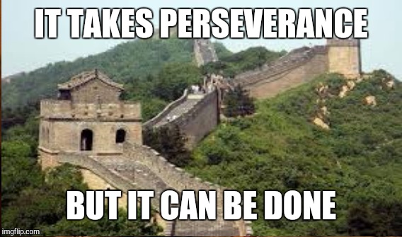 IT TAKES PERSEVERANCE BUT IT CAN BE DONE | made w/ Imgflip meme maker