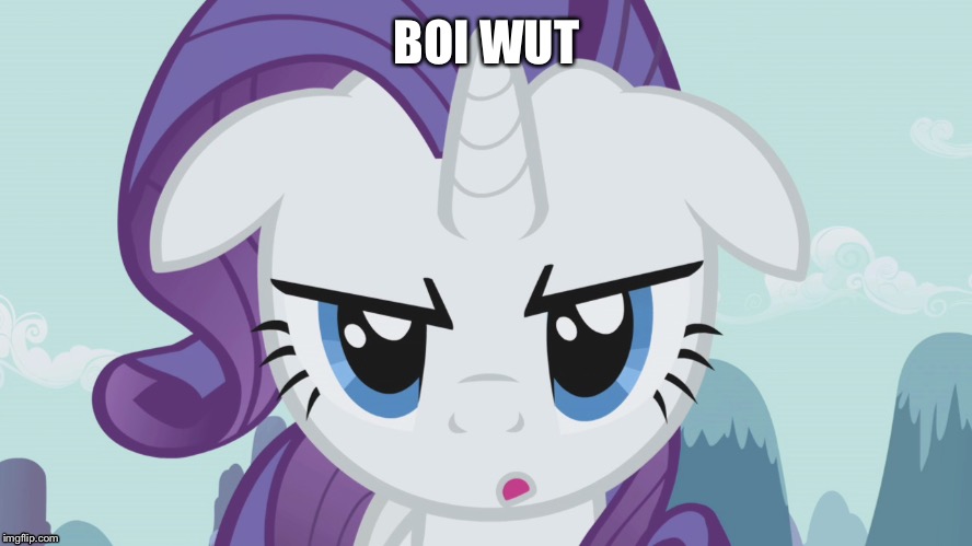 When You Look At Your Spam Mail | BOI WUT | image tagged in mlp,rarity | made w/ Imgflip meme maker