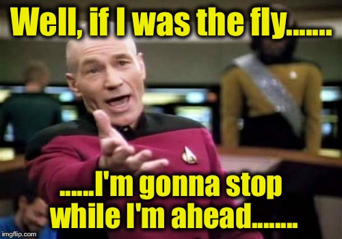 Picard Wtf Meme | Well, if I was the fly....... ......I'm gonna stop while I'm ahead........ | image tagged in memes,picard wtf | made w/ Imgflip meme maker