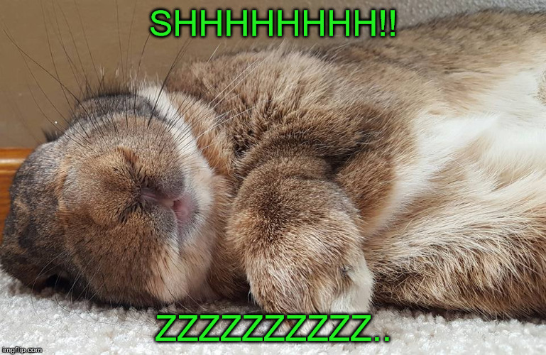 ZZzzz | SHHHHHHHH!! ZZZZZZZZZZ.. | image tagged in memes | made w/ Imgflip meme maker