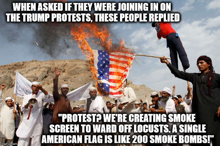 ironic flag burning | WHEN ASKED IF THEY WERE JOINING IN ON THE TRUMP PROTESTS, THESE PEOPLE REPLIED; "PROTEST? WE'RE CREATING SMOKE SCREEN TO WARD OFF LOCUSTS. A SINGLE AMERICAN FLAG IS LIKE 200 SMOKE BOMBS!" | image tagged in ironic flag burning | made w/ Imgflip meme maker