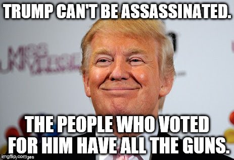 Donald Trump | TRUMP CAN'T BE ASSASSINATED. THE PEOPLE WHO VOTED FOR HIM HAVE ALL THE GUNS. | image tagged in donald trump approves | made w/ Imgflip meme maker