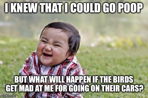 Evil Toddler Meme | I KNEW THAT I COULD GO POOP; BUT WHAT WILL HAPPEN IF THE BIRDS GET MAD AT ME FOR GOING ON THEIR CARS? | image tagged in memes,evil toddler | made w/ Imgflip meme maker