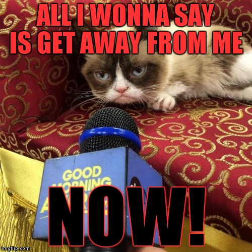 grumpy cat news | ALL I WONNA SAY IS GET AWAY FROM ME; NOW! | image tagged in grumpy cat news | made w/ Imgflip meme maker