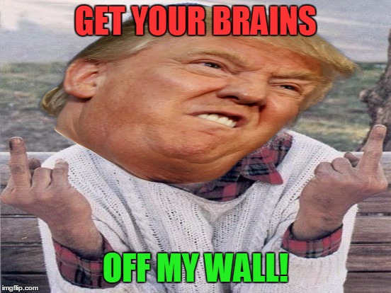 GET YOUR BRAINS OFF MY WALL! | made w/ Imgflip meme maker