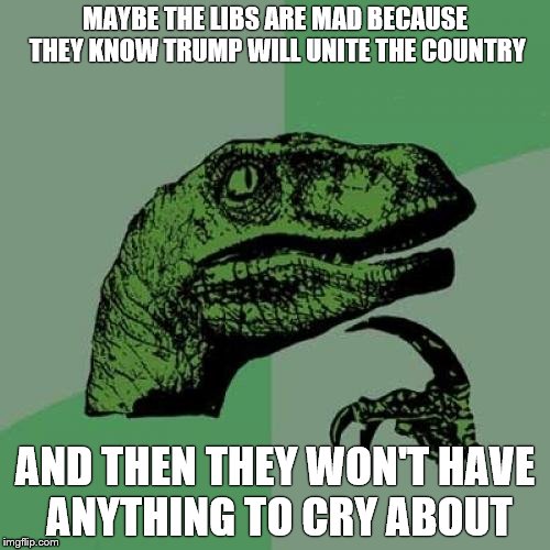 Philosoraptor | MAYBE THE LIBS ARE MAD BECAUSE THEY KNOW TRUMP WILL UNITE THE COUNTRY; AND THEN THEY WON'T HAVE ANYTHING TO CRY ABOUT | image tagged in memes,philosoraptor | made w/ Imgflip meme maker