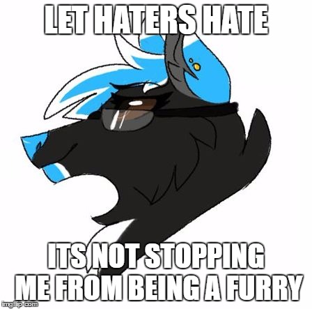 LET HATERS HATE; ITS NOT STOPPING ME FROM BEING A FURRY | image tagged in haters gonna hate | made w/ Imgflip meme maker