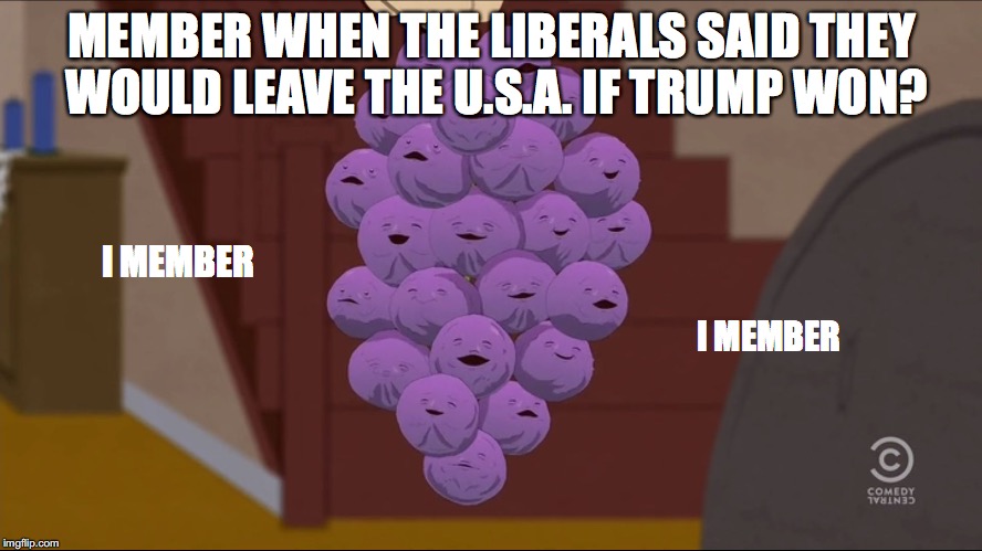 Member Berries Meme | MEMBER WHEN THE LIBERALS SAID THEY WOULD LEAVE THE U.S.A. IF TRUMP WON? I MEMBER; I MEMBER | image tagged in memes,member berries | made w/ Imgflip meme maker