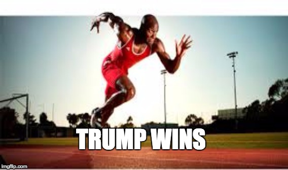 Trump Wins | TRUMP WINS | image tagged in donald trump | made w/ Imgflip meme maker