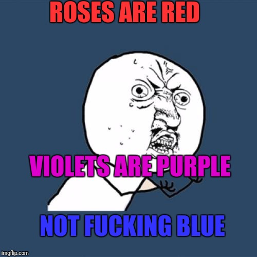 Y U No Meme | ROSES ARE RED; VIOLETS ARE PURPLE; NOT FUCKING BLUE | image tagged in memes,y u no | made w/ Imgflip meme maker