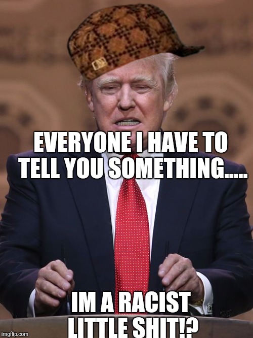 Donald Trump | EVERYONE I HAVE TO TELL YOU SOMETHING..... IM A RACIST LITTLE SHIT!? | image tagged in donald trump,scumbag | made w/ Imgflip meme maker