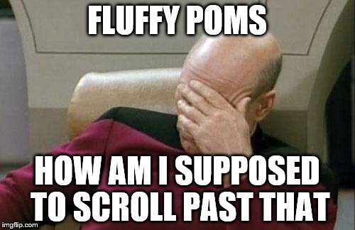 Captain Picard Facepalm Meme | FLUFFY POMS HOW AM I SUPPOSED TO SCROLL PAST THAT | image tagged in memes,captain picard facepalm | made w/ Imgflip meme maker
