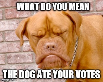 WHAT DO YOU MEAN THE DOG ATE YOUR VOTES | made w/ Imgflip meme maker