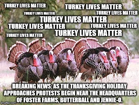 BREAKING NEWS: Across the Nation turkeys are gathering to protest the mass slaughter for the upcoming Thanksgiving holiday | TURKEY LIVES MATTER; TURKEY LIVES MATTER; TURKEY LIVES MATTER; TURKEY LIVES MATTER; TURKEY LIVES MATTER; TURKEY LIVES MATTER; TURKEY LIVES MATTER; TURKEY LIVES MATTER; TURKEY LIVES MATTER; BREAKING NEWS: AS THE THANKSGIVING HOLIDAY APPROACHES PROTESTS BEGIN NEAR THE HEADQUARTERS OF FOSTER FARMS, BUTTERBALL AND JENNIE-O. | image tagged in turkey live matter,memes,funny,thanksgiving,turkeys,lives matter | made w/ Imgflip meme maker