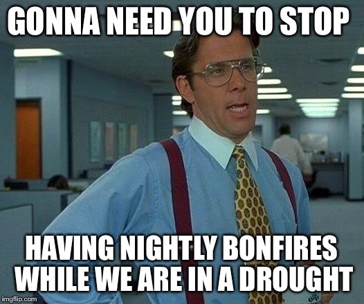 That Would Be Great | GONNA NEED YOU TO STOP; HAVING NIGHTLY BONFIRES WHILE WE ARE IN A DROUGHT | image tagged in memes,that would be great | made w/ Imgflip meme maker