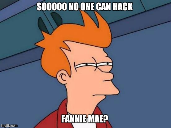 Futurama Fry | SOOOOO NO ONE CAN HACK; FANNIE MAE? | image tagged in memes,futurama fry | made w/ Imgflip meme maker