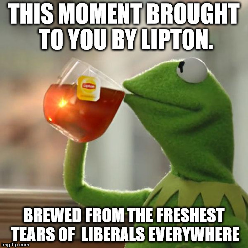But That's None Of My Business Meme | THIS MOMENT BROUGHT TO YOU BY LIPTON. BREWED FROM THE FRESHEST TEARS OF  LIBERALS EVERYWHERE | image tagged in memes,but thats none of my business,kermit the frog | made w/ Imgflip meme maker