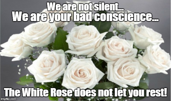 The White Rose Society | We are not silent... We are your bad conscience... The White Rose does not let you rest! | image tagged in rose | made w/ Imgflip meme maker