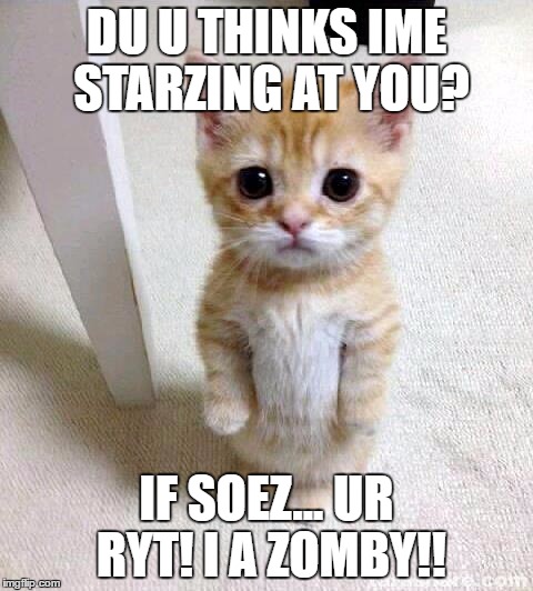 Cute Cat Meme | DU U THINKS IME STARZING AT YOU? IF SOEZ... UR RYT! I A ZOMBY!! | image tagged in memes,cute cat | made w/ Imgflip meme maker